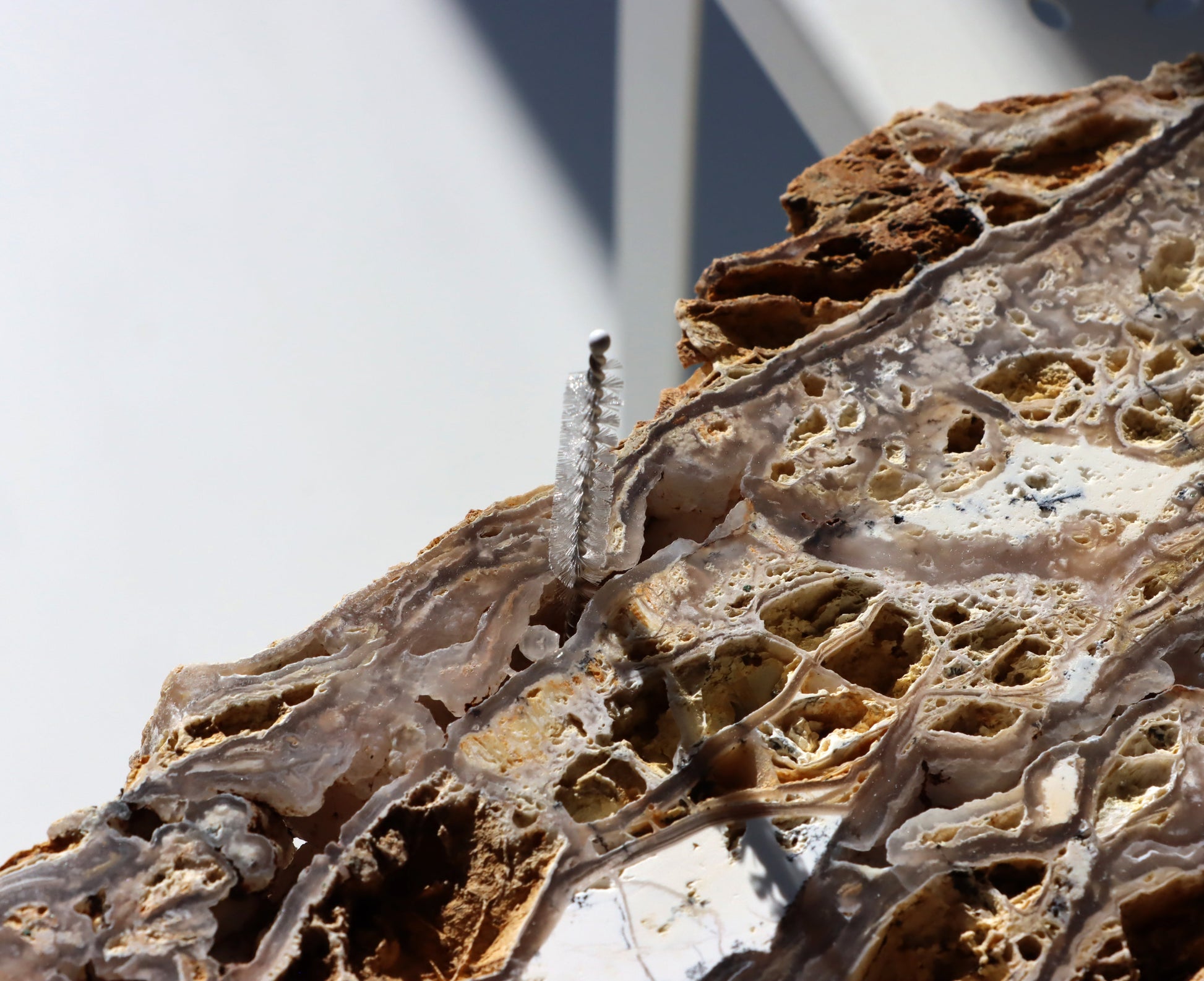 Všestranný kartáček malý na nepřístupná místa - Supreme Panthers