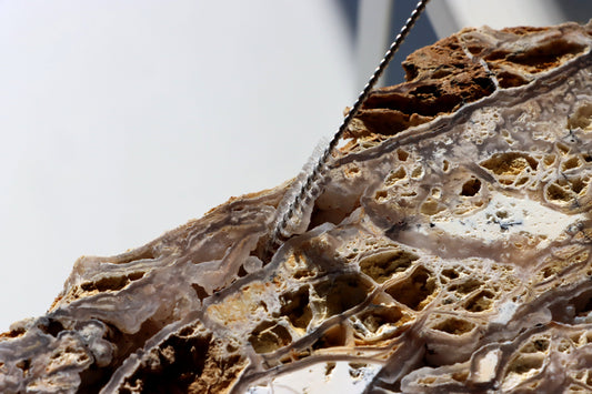 Všestranný kartáček malý na nepřístupná místa - Supreme Panthers