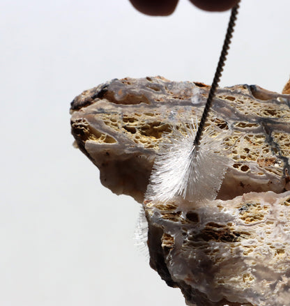 Všestranný kartáček velký na nepřístupná místa - Supreme Panthers