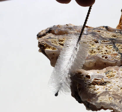 Všestranný kartáček velký na nepřístupná místa - Supreme Panthers