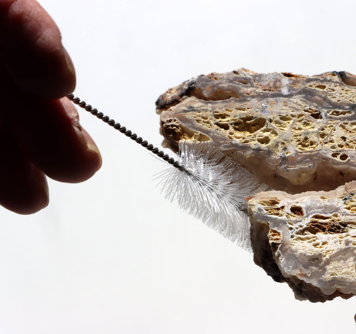 Všestranný kartáček velký na nepřístupná místa - Supreme Panthers