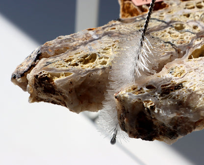 Všestranný kartáček velký na nepřístupná místa - Supreme Panthers