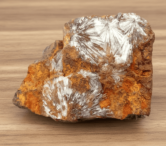 Wavelit - Supreme Panthers