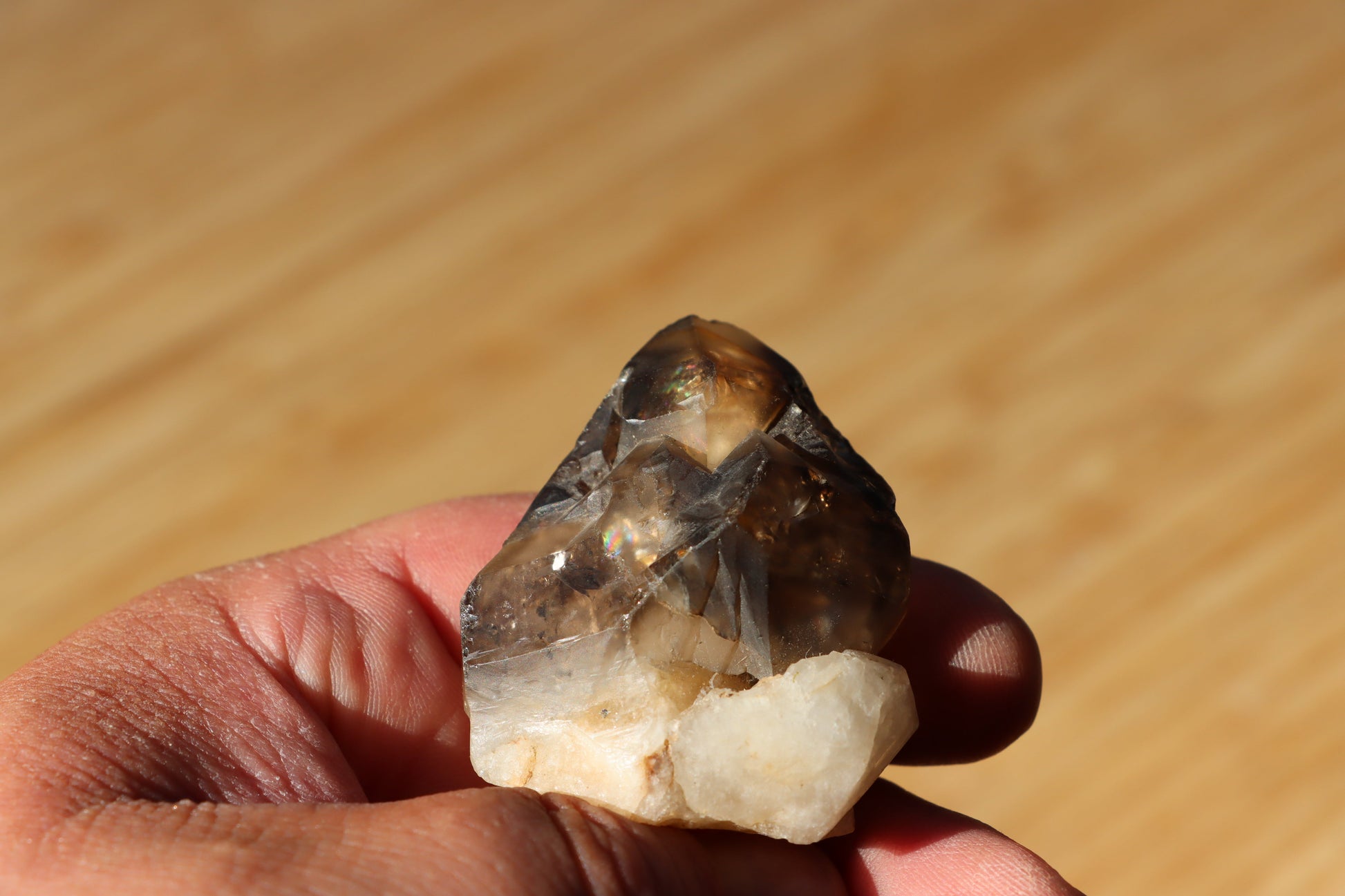 Záhněda s fantomy - Supreme Panthers