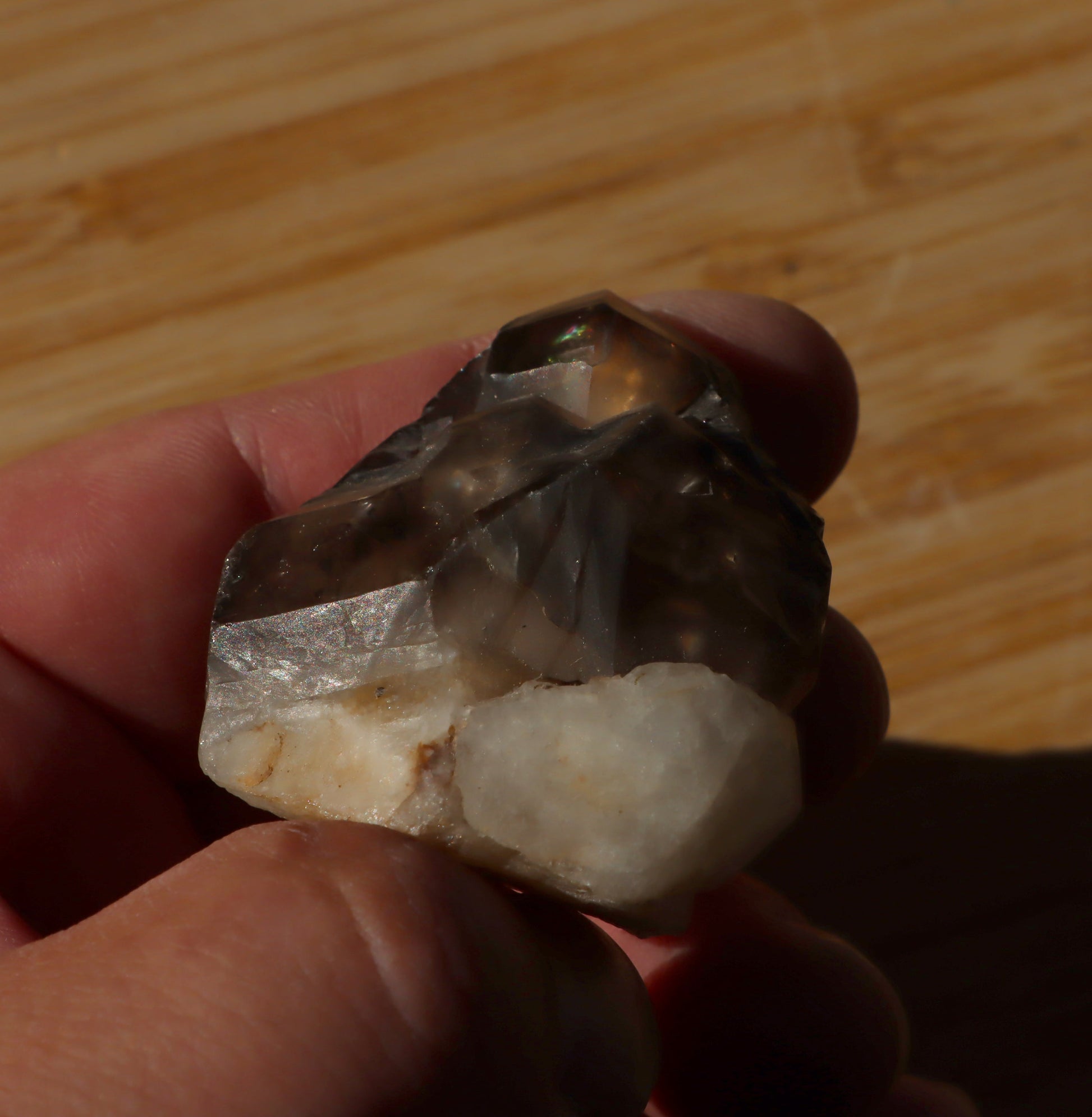 Záhněda s fantomy - Supreme Panthers