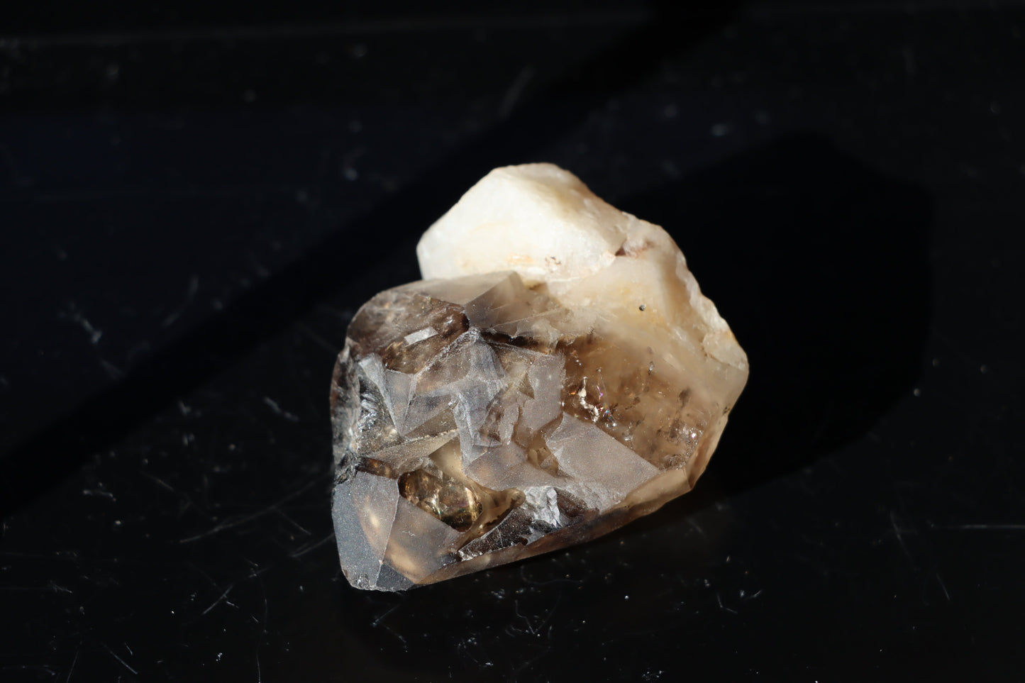 Záhněda s fantomy - Supreme Panthers