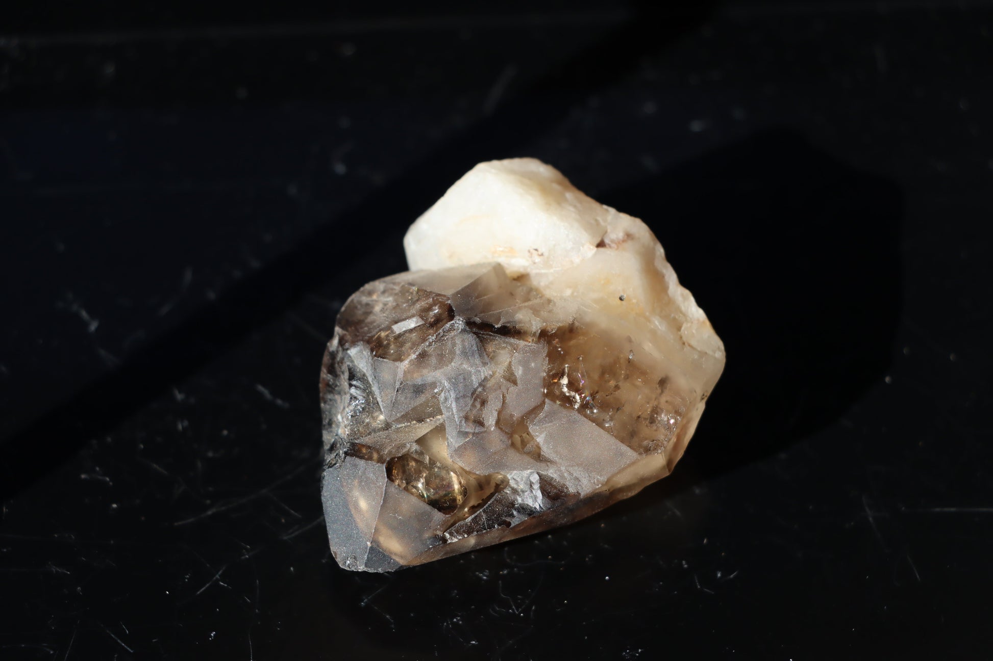 Záhněda s fantomy - Supreme Panthers