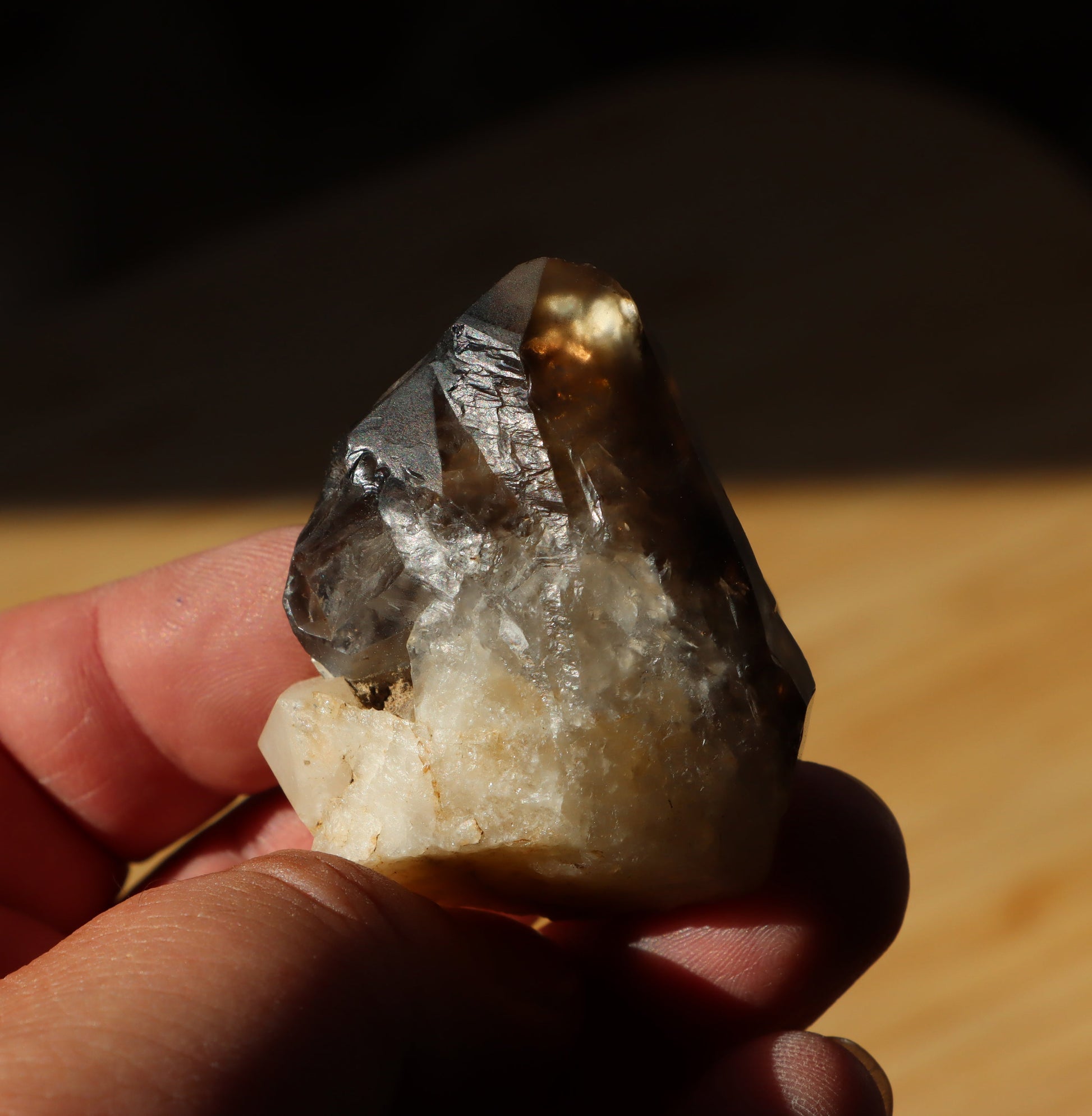 Záhněda s fantomy - Supreme Panthers