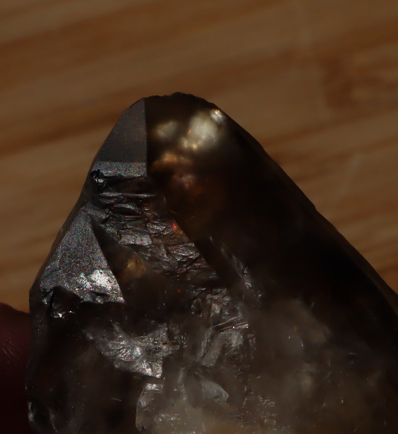 Záhněda s fantomy - Supreme Panthers