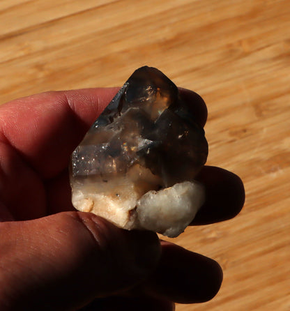 Záhněda s fantomy - Supreme Panthers