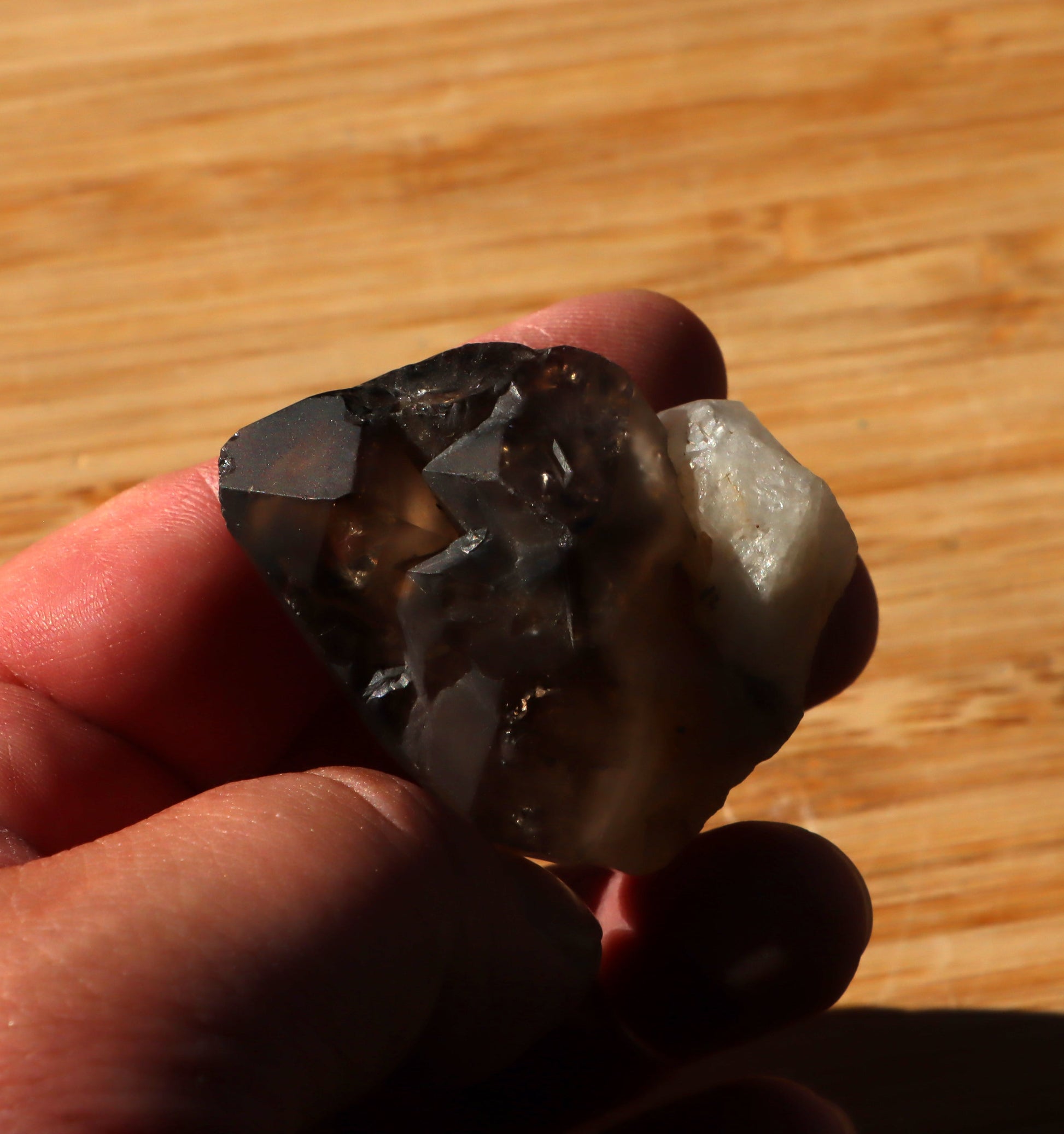 Záhněda s fantomy - Supreme Panthers