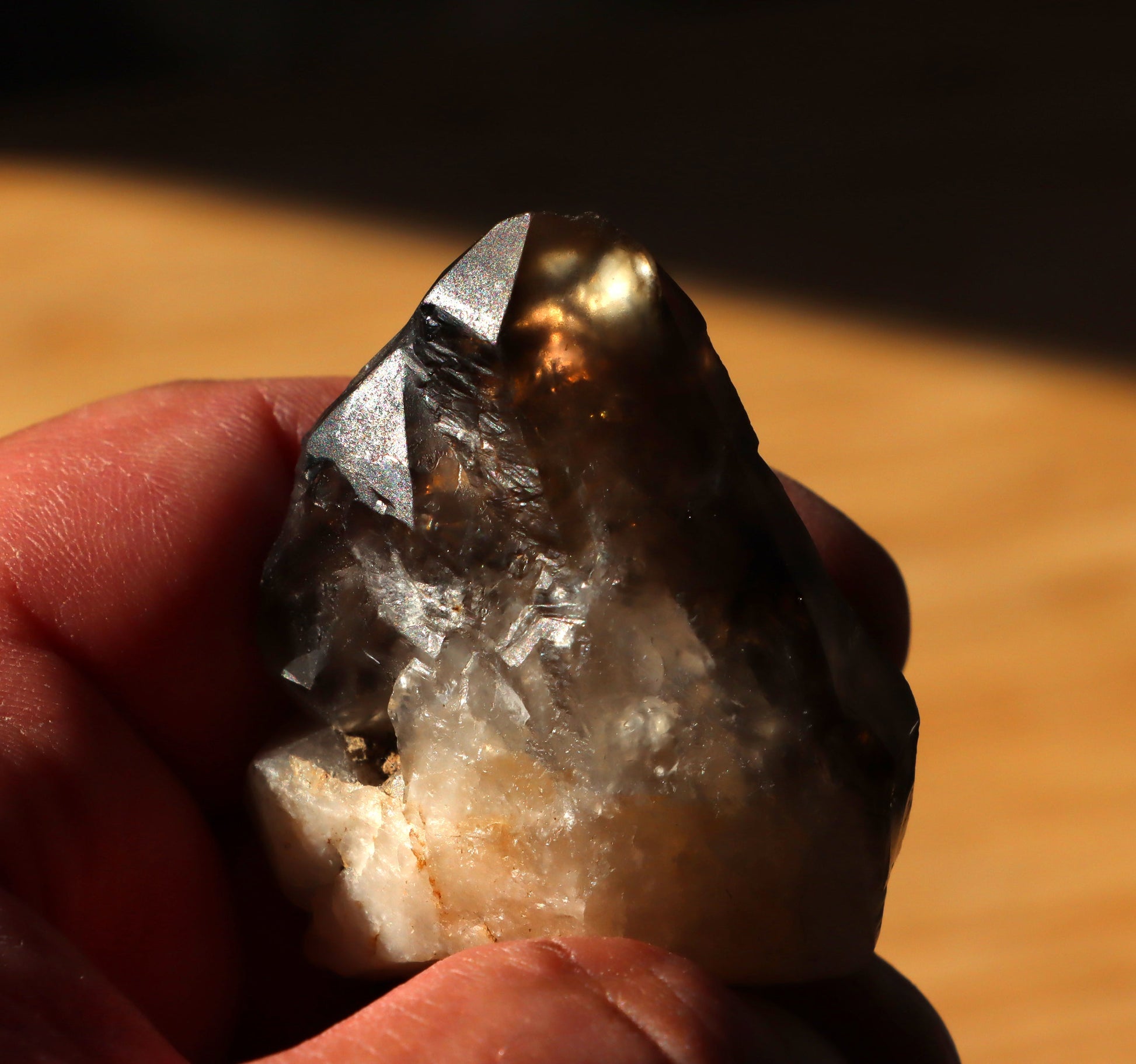 Záhněda s fantomy - Supreme Panthers