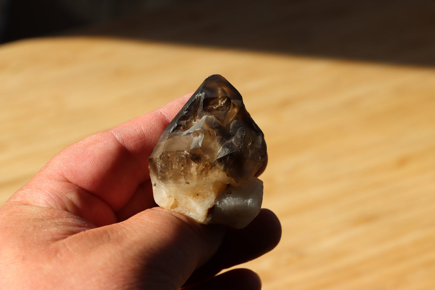 Záhněda s fantomy - Supreme Panthers