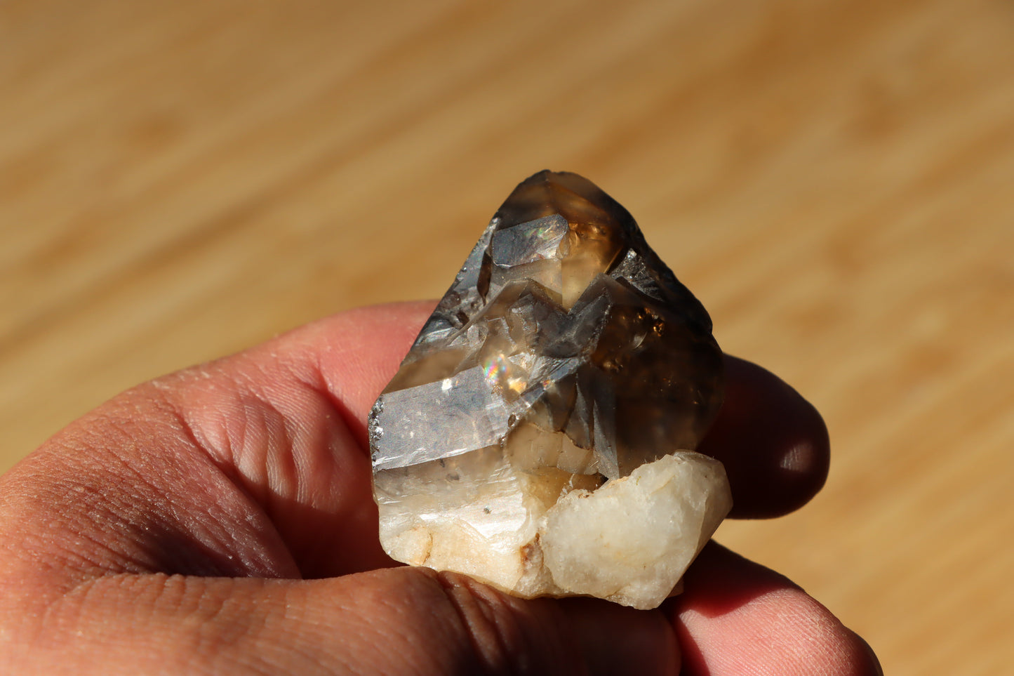 Záhněda s fantomy - Supreme Panthers