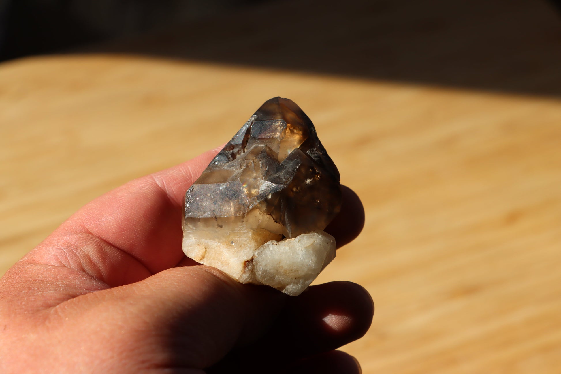 Záhněda s fantomy - Supreme Panthers