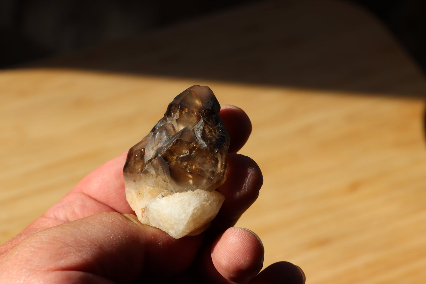 Záhněda s fantomy - Supreme Panthers