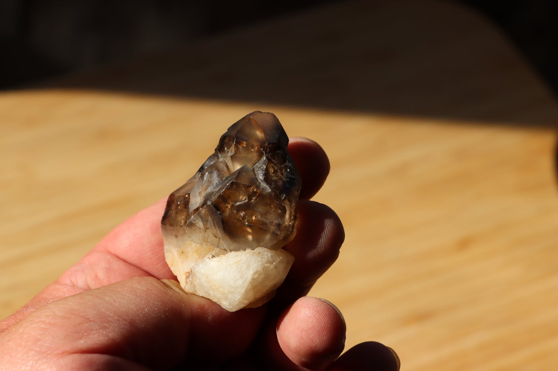 Záhněda s fantomy - Supreme Panthers