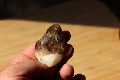 Záhněda s fantomy - Supreme Panthers