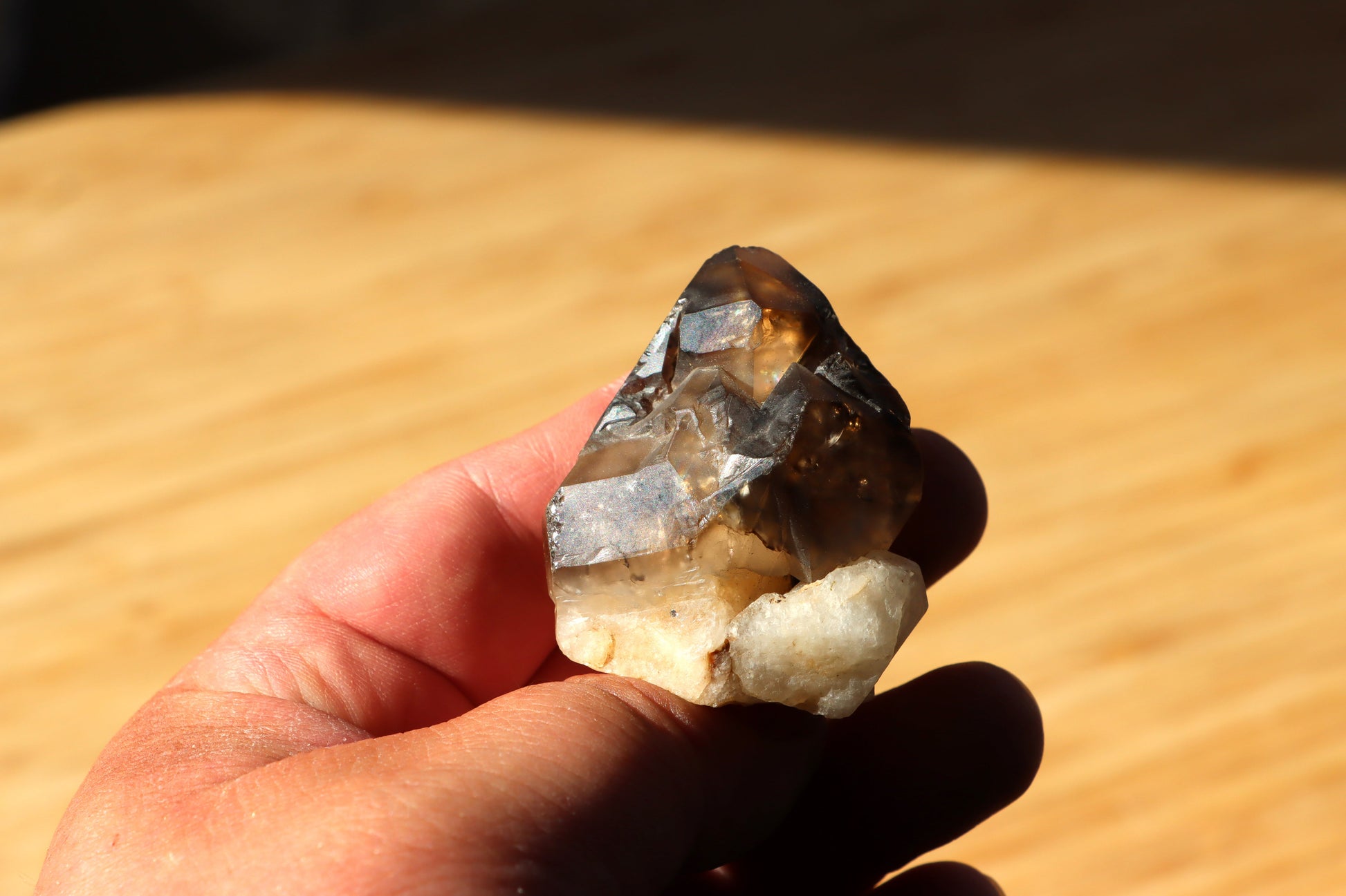 Záhněda s fantomy - Supreme Panthers