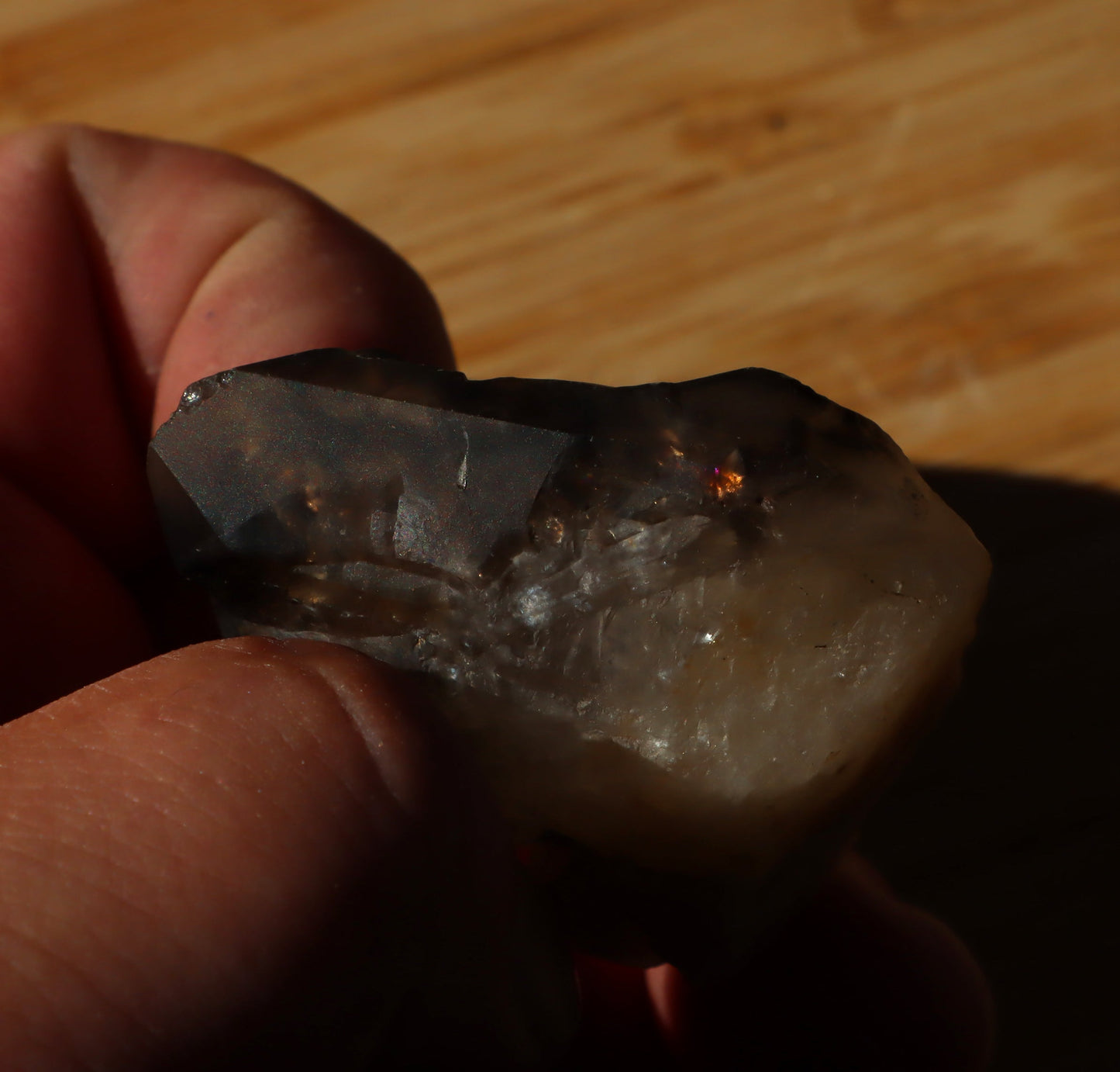 Záhněda s fantomy - Supreme Panthers