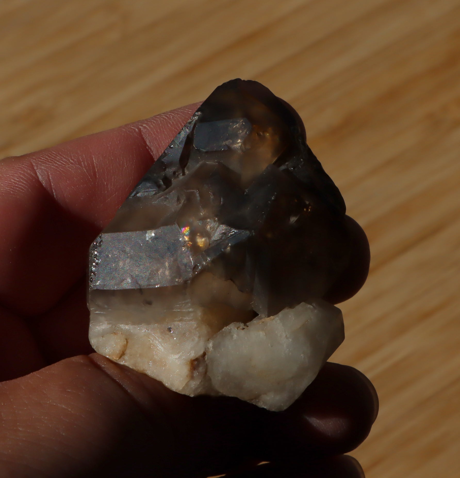 Záhněda s fantomy - Supreme Panthers