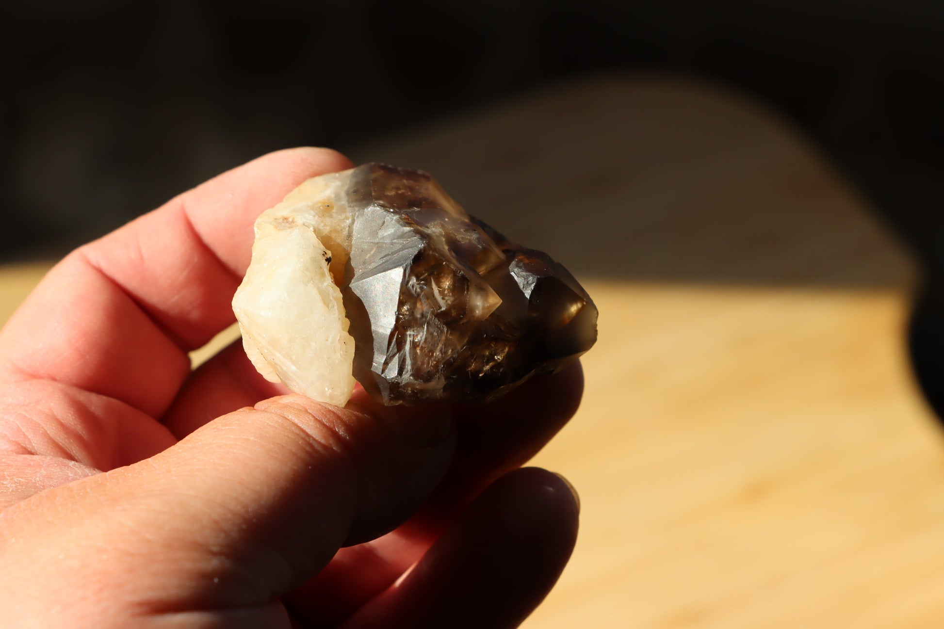 Záhněda s fantomy - Supreme Panthers