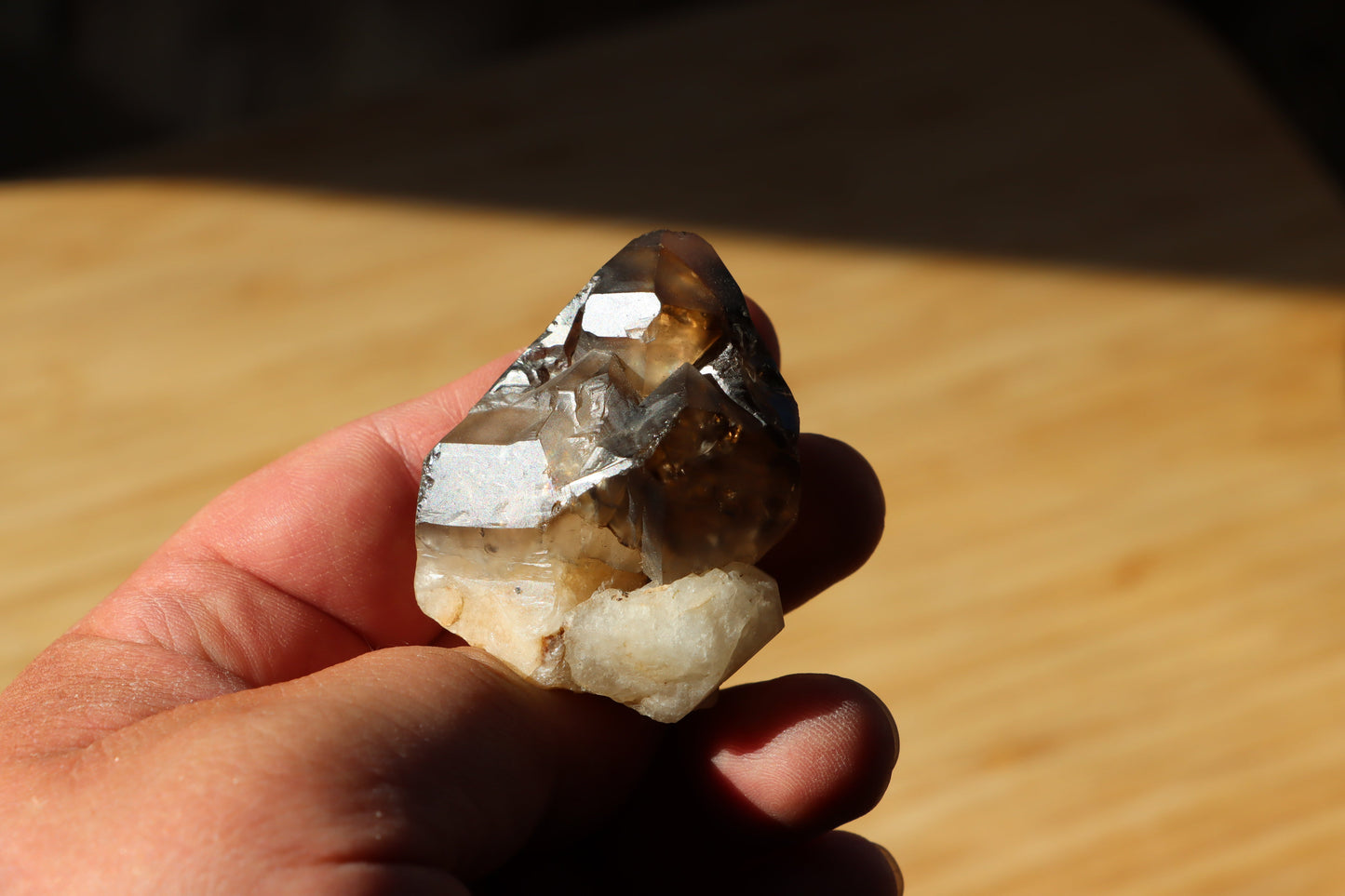 Záhněda s fantomy - Supreme Panthers