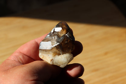 Záhněda s fantomy - Supreme Panthers