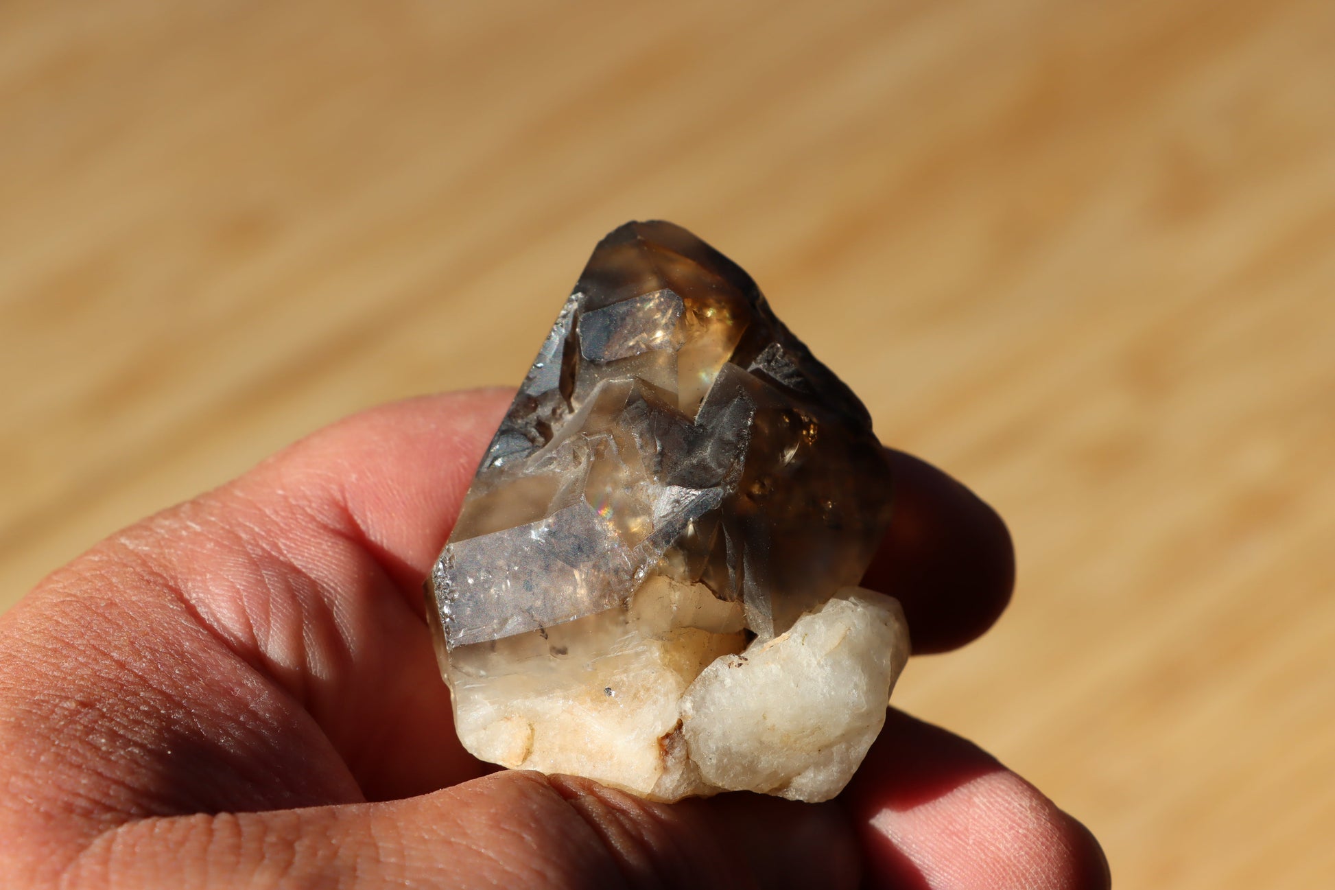 Záhněda s fantomy - Supreme Panthers