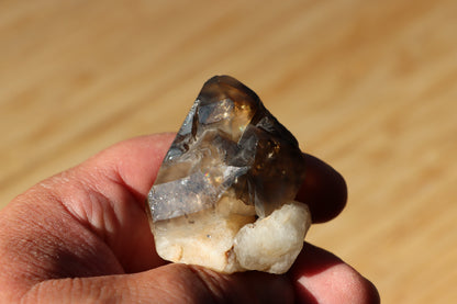 Záhněda s fantomy - Supreme Panthers