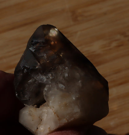 Záhněda s fantomy - Supreme Panthers