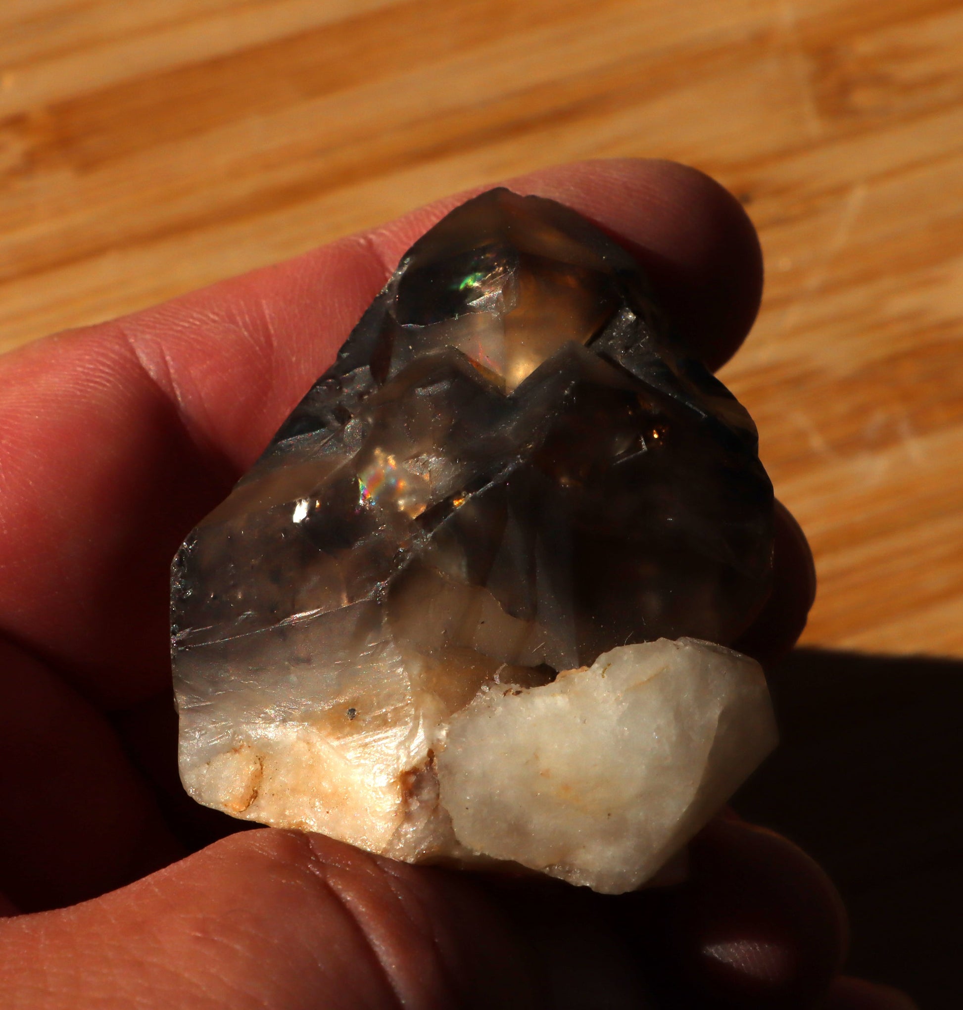 Záhněda s fantomy - Supreme Panthers