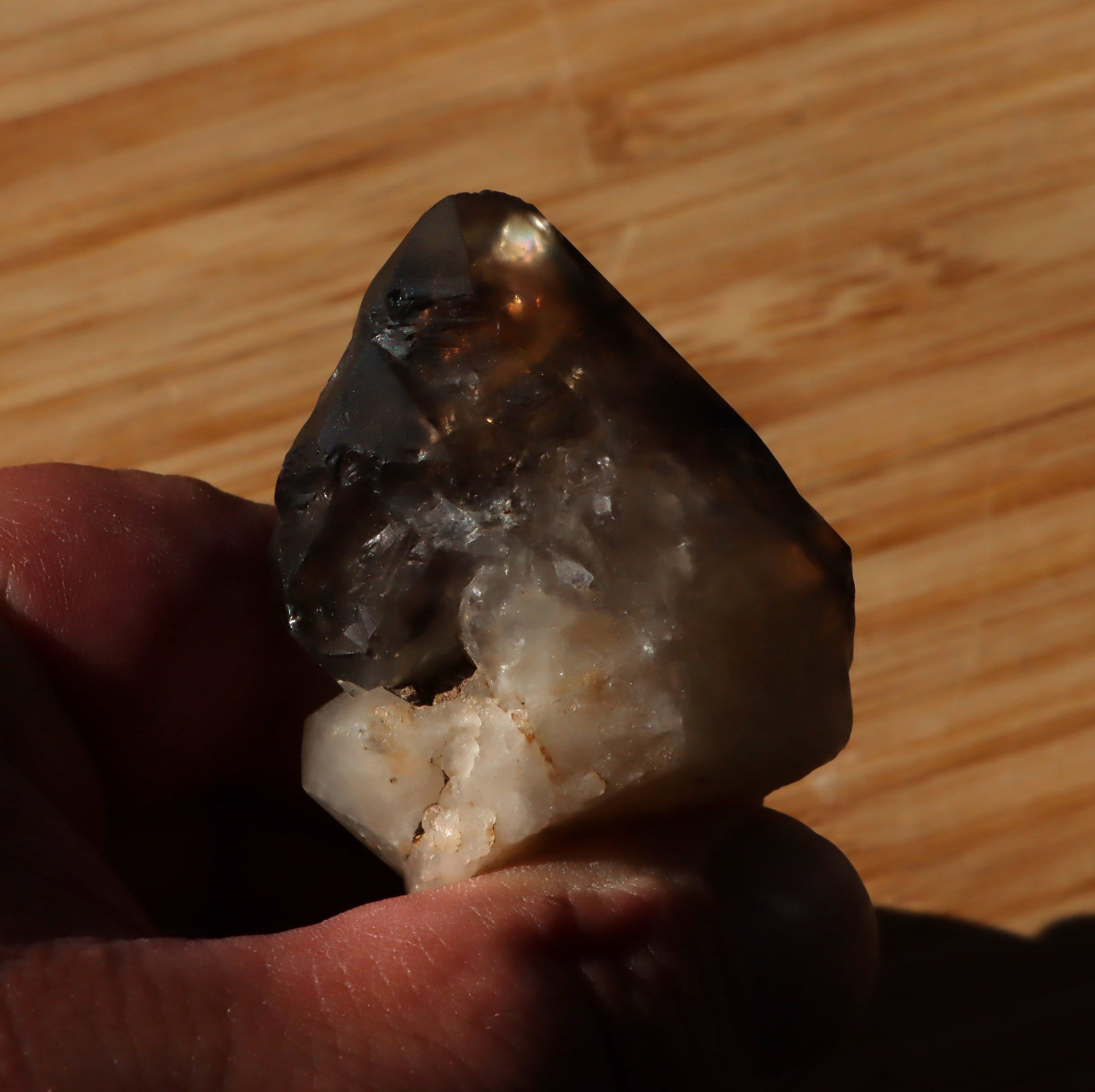 Záhněda s fantomy - Supreme Panthers