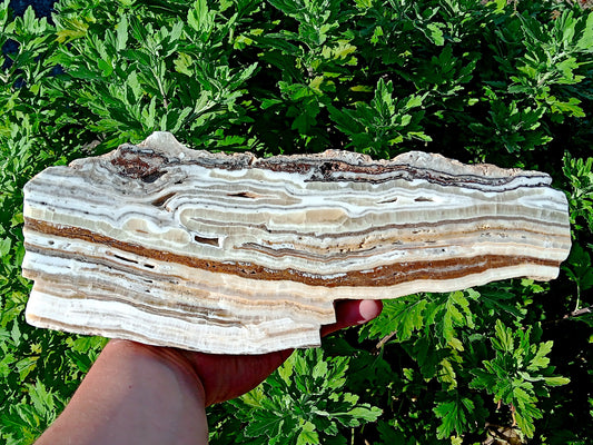 Zelenavý vrstvený aragonit - Supreme Panthers