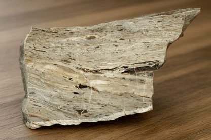 Zkamenělá prvohorní rašelina - Supreme Panthers