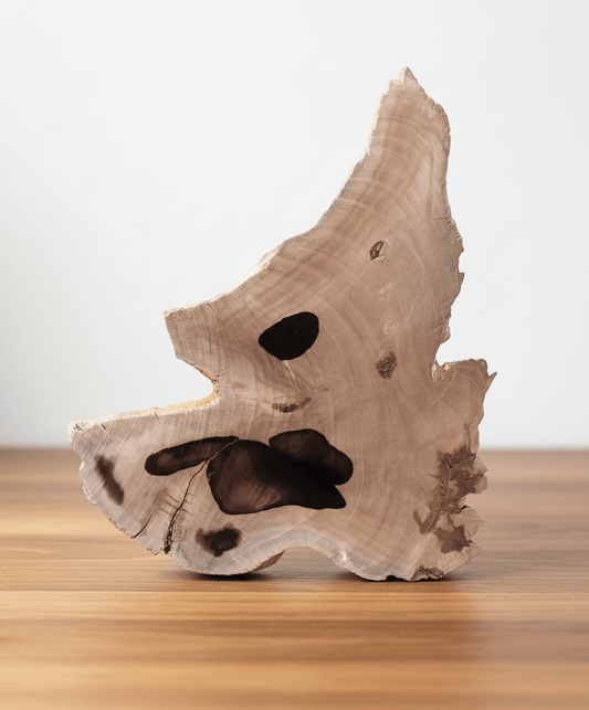 Zkamenělý jilm - Supreme Panthers