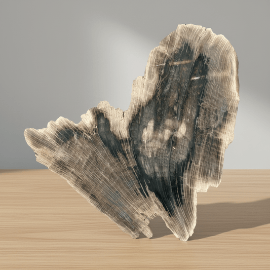 Zkřemenělý dub - Supreme Panthers