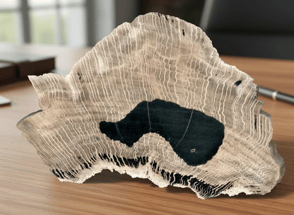 Zkřemenělý dub - Supreme Panthers