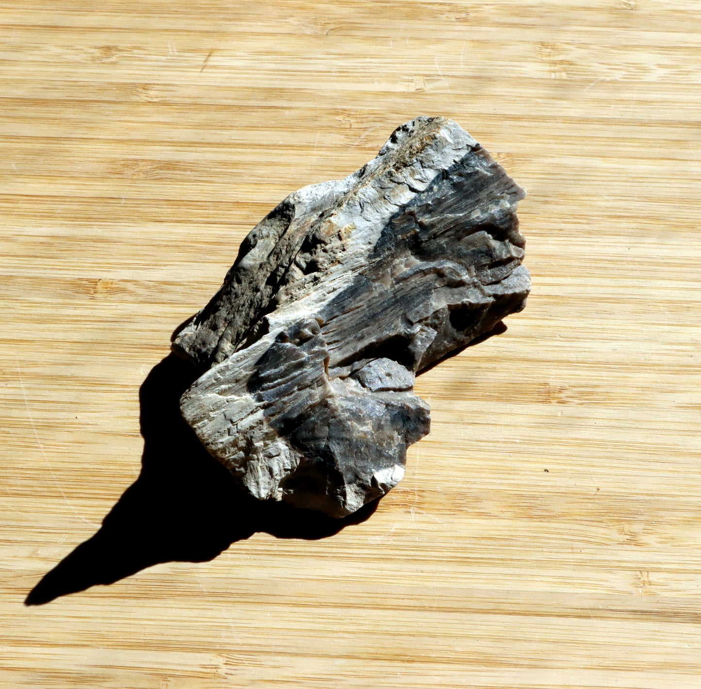 Zkřemenělý dub - Supreme Panthers