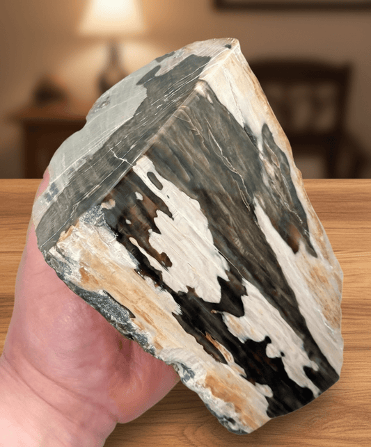 Zkřemenělý dub - Supreme Panthers