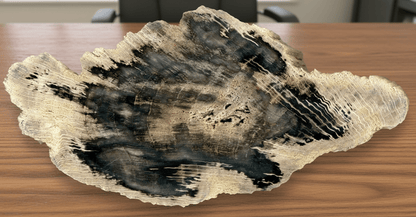 Zkřemenělý dub s houbovou infekcí - Supreme Panthers