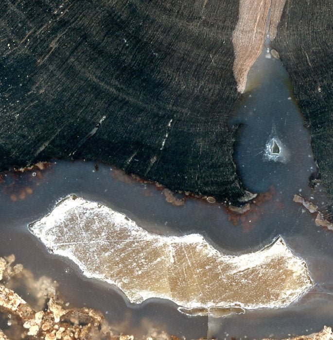 Zkřemenělý pepřovník Schinoxylon achát kalcit stromatolity - Supreme Panthers