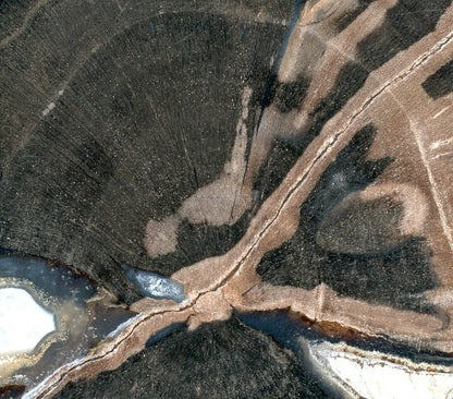 Zkřemenělý pepřovník Schinoxylon achát kalcit stromatolity - Supreme Panthers