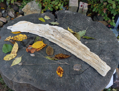 Zkřemený dub se sukem fošna - Supreme Panthers