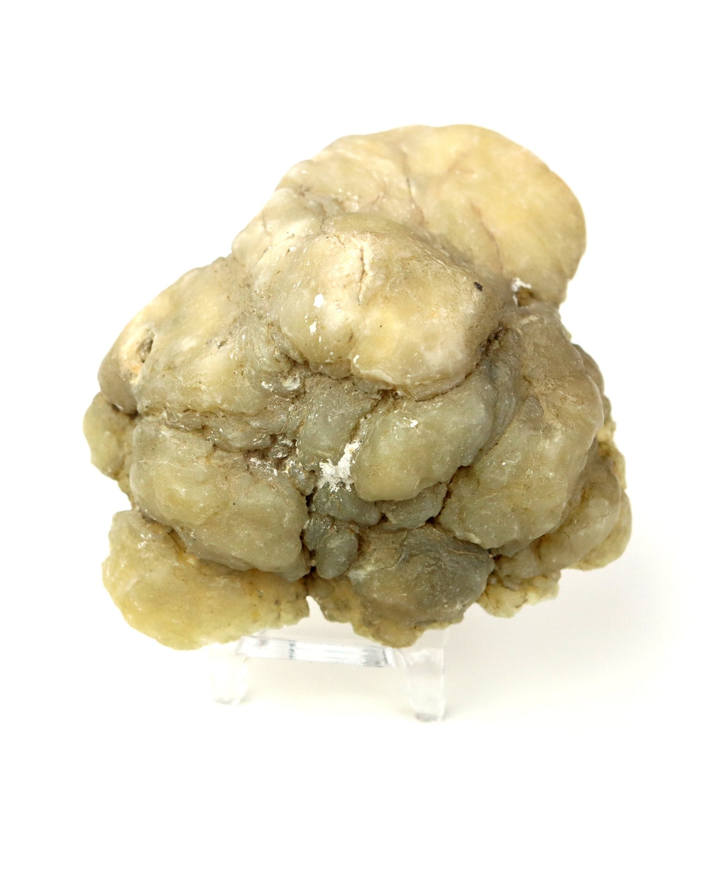 Žlutavý chalcedon v geodě leštěná - Supreme Panthers