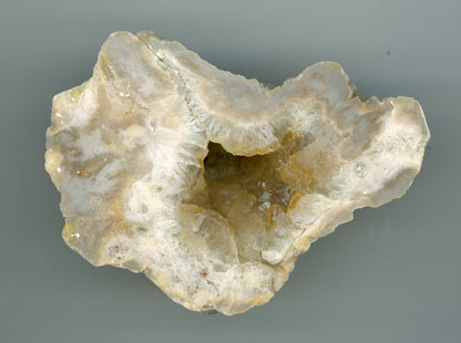 Achátová geoda - Supreme Panthers