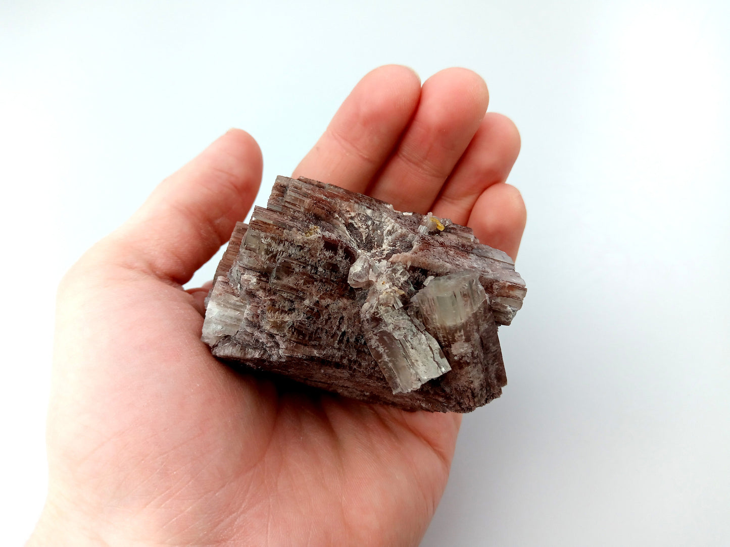 Aragonitový krystal - Supreme Panthers