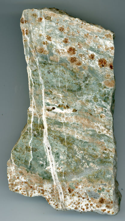 Bludovit - Supreme Panthers