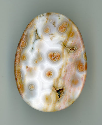 Chalcedon - Supreme Panthers