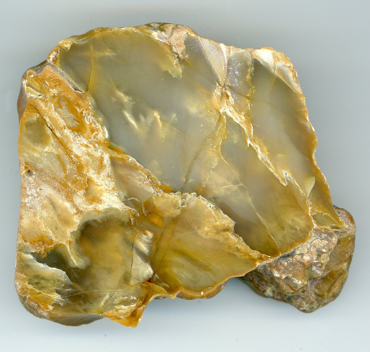 Chalcedon - Supreme Panthers